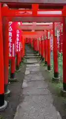 佐助稲荷神社の鳥居