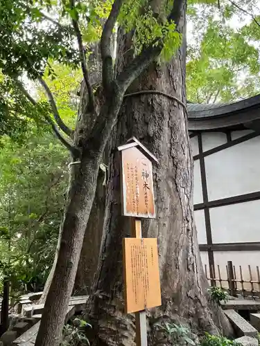 川越氷川神社(埼玉県)