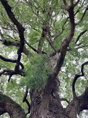 感應寺(東京都)