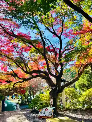鎌倉宮(神奈川県)