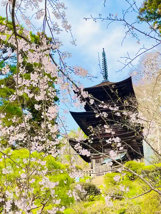国宝 大法寺(長野県)