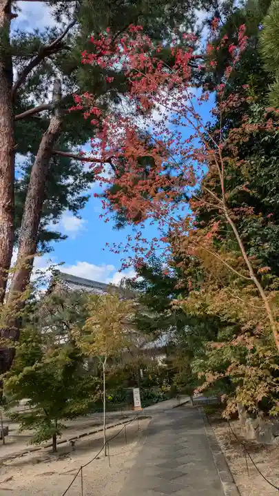 興聖寺(京都府)