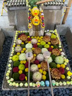 くろ谷 金戒光明寺の手水舎