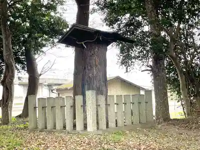 若宮神社(滋賀県)