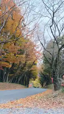 雨引千勝神社(茨城県)