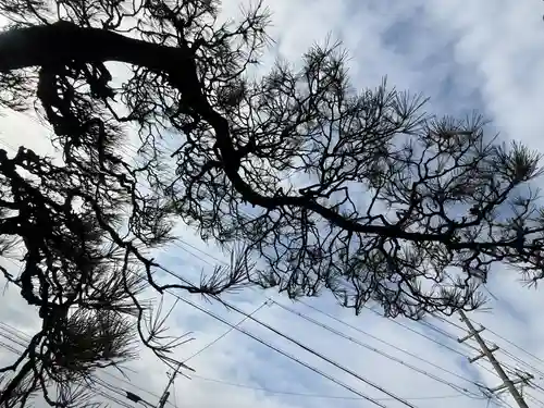 西方山極楽寺(岐阜県)