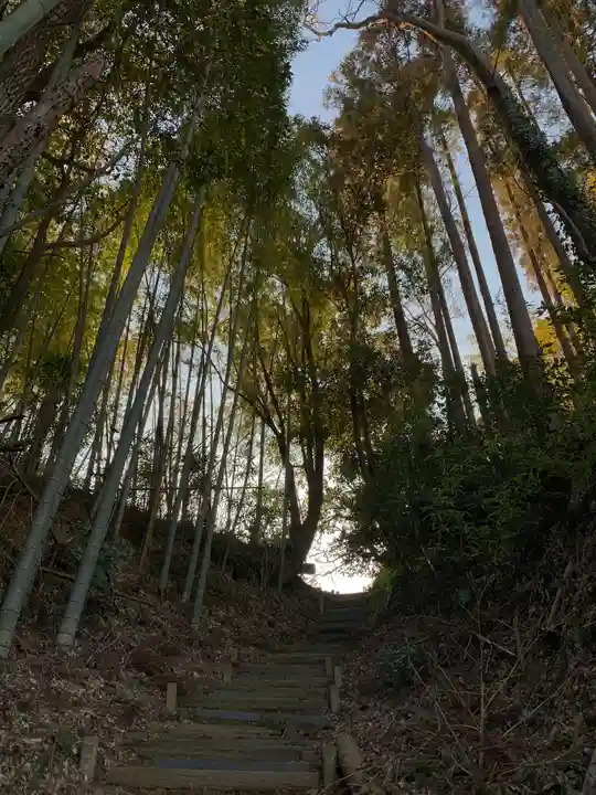 皇産霊神社の自然