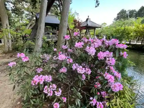 白毫寺熊野権現社(兵庫県)