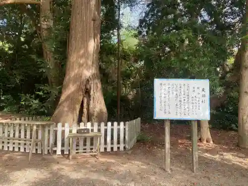 鎌数伊勢大神宮(千葉県)