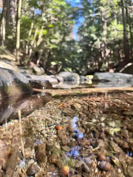 瀧原宮(皇大神宮別宮)の{uncategorized: "未分類", other: "その他", undefined: "問題あり", building: "その他建物", grave: "お墓", sacred_gate: "鳥居", guardian: "狛犬", statue: "像", buddha: "仏像", history: "歴史", nature: "自然", garden: "庭園", animal: "動物", pagoda: "塔", temizu: "手水舎", mountain_gate: "山門・神門", sanctuary: "本殿・本堂", subordinate: "末社・摂社", art: "芸術", scenery: "景色", jizo: "地蔵", ema: "絵馬", goshuin: "御朱印", omikuji: "おみくじ", items: "授与品その他", amulet: "お守り", goshuincho: "御朱印帳", eats: "食事", festival: "お祭り", votive_dance: "神楽", shichigosan: "七五三参", wedding: "結婚式", experience: "体験その他", initially: "初詣", around: "周辺", anti_infection: "感染症対策"}