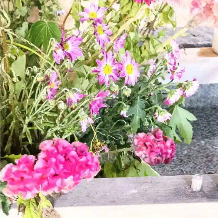 彌彦神社 (伊夜日子神社)(北海道)