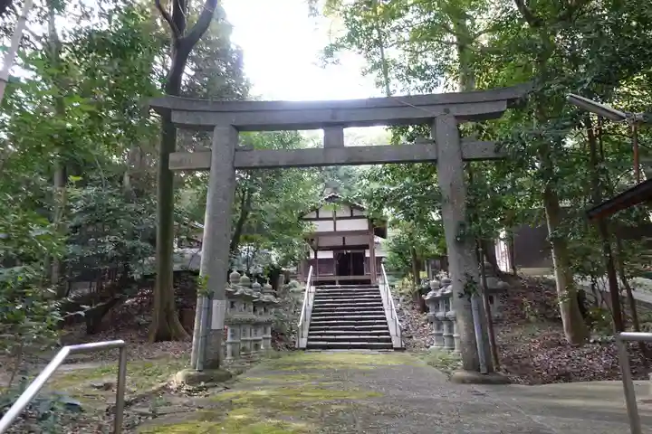 新殿神社の本殿・本堂