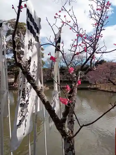 鶴岡八幡宮の自然
