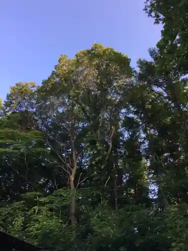 上野幌神社(北海道)