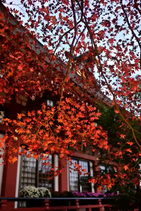 大山阿夫利神社(神奈川県)