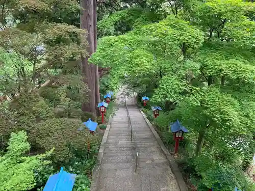 大善寺の庭園