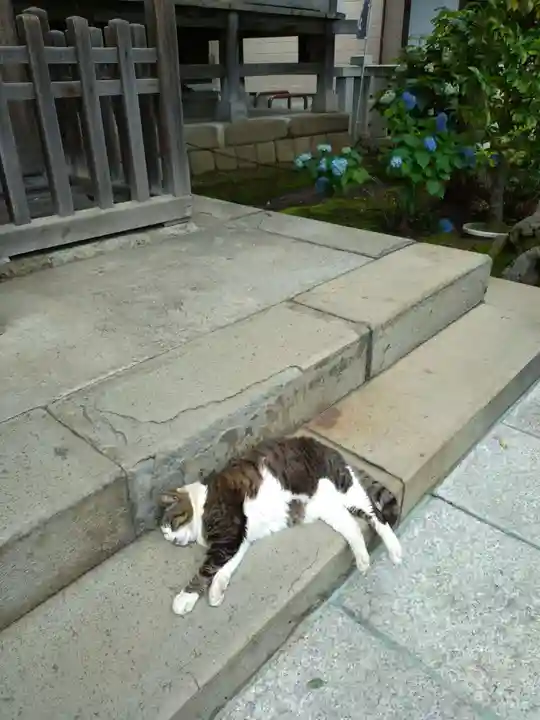 白山神社(東京都)