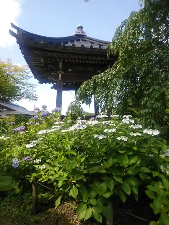 陽林寺(福島県)