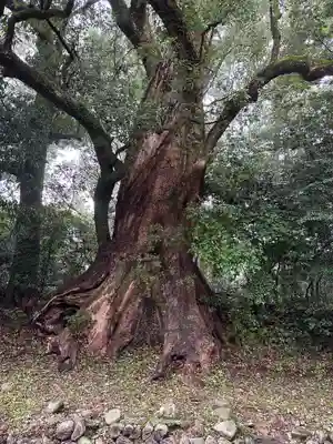 都萬神社(宮崎県)