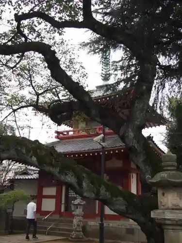 新井薬師（梅照院）のその他建物