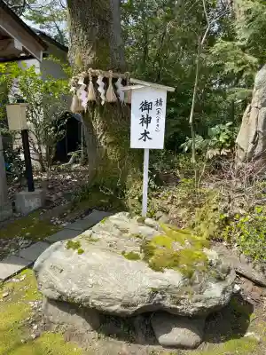 須天熊野神社(石川県)