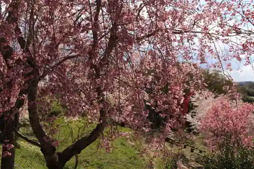 阿久津「田村神社」（郡山市阿久津町）旧社名：伊豆箱根三嶋三社の庭園