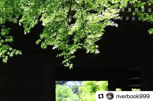 普門寺(切り絵御朱印発祥の寺)(愛知県)