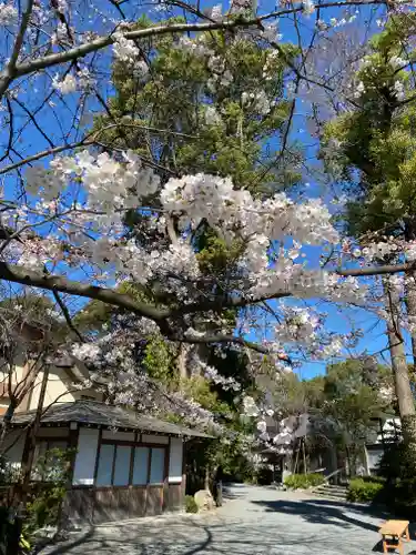 阿佐ヶ谷神明宮の自然