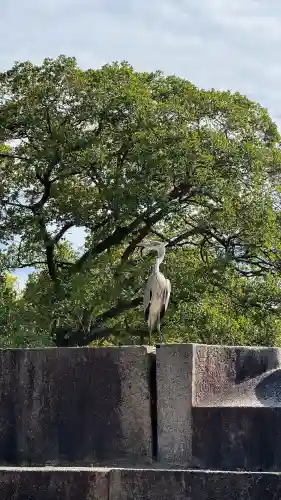 豊國神社(大阪府)