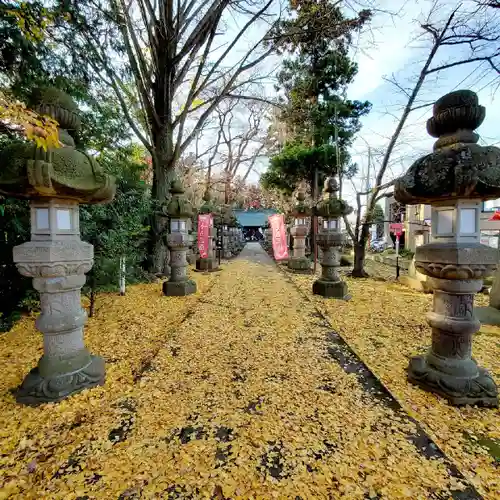 神炊館神社 ⁂奥州須賀川総鎮守⁂の景色