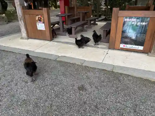 石上神宮の{uncategorized: "未分類", other: "その他", undefined: "問題あり", building: "その他建物", grave: "お墓", sacred_gate: "鳥居", guardian: "狛犬", statue: "像", buddha: "仏像", history: "歴史", nature: "自然", garden: "庭園", animal: "動物", pagoda: "塔", temizu: "手水舎", mountain_gate: "山門・神門", sanctuary: "本殿・本堂", subordinate: "末社・摂社", art: "芸術", scenery: "景色", jizo: "地蔵", ema: "絵馬", goshuin: "御朱印", omikuji: "おみくじ", items: "授与品その他", amulet: "お守り", goshuincho: "御朱印帳", eats: "食事", festival: "お祭り", votive_dance: "神楽", shichigosan: "七五三参", wedding: "結婚式", experience: "体験その他", initially: "初詣", around: "周辺", anti_infection: "感染症対策"}