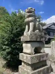 周敷神社の狛犬
