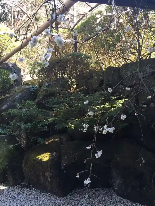 報国寺(神奈川県)