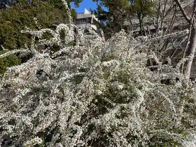 伊勢の国 四天王寺(三重県)