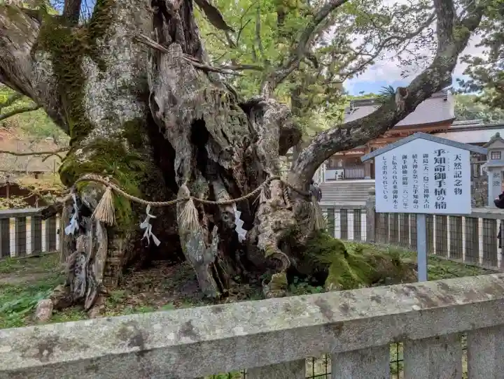 大山祇神社(愛媛県)