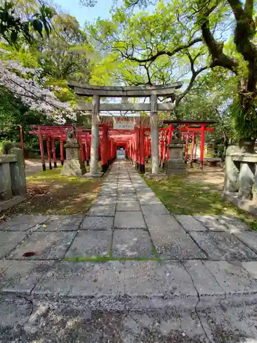 美濃輪稲荷神社の鳥居