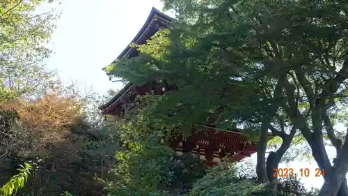 岡寺（龍蓋寺）の建物その他