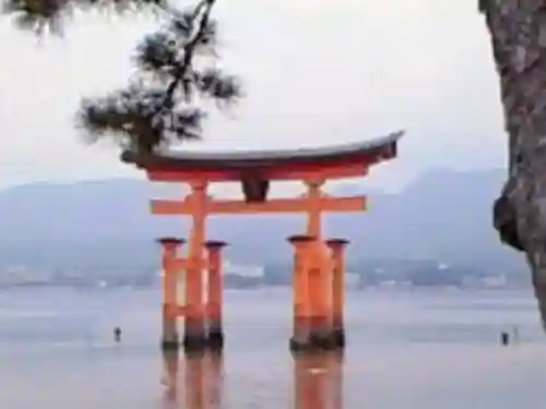 厳島神社の{uncategorized: "未分類", other: "その他", undefined: "問題あり", building: "その他建物", grave: "お墓", sacred_gate: "鳥居", guardian: "狛犬", statue: "像", buddha: "仏像", history: "歴史", nature: "自然", garden: "庭園", animal: "動物", pagoda: "塔", temizu: "手水舎", mountain_gate: "山門・神門", sanctuary: "本殿・本堂", subordinate: "末社・摂社", art: "芸術", scenery: "景色", jizo: "地蔵", ema: "絵馬", goshuin: "御朱印", omikuji: "おみくじ", items: "授与品その他", amulet: "お守り", goshuincho: "御朱印帳", eats: "食事", festival: "お祭り", votive_dance: "神楽", shichigosan: "七五三参", wedding: "結婚式", experience: "体験その他", initially: "初詣", around: "周辺", anti_infection: "感染症対策"}