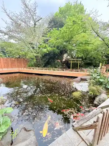 愛宕神社の{uncategorized: "未分類", other: "その他", undefined: "問題あり", building: "その他建物", grave: "お墓", sacred_gate: "鳥居", guardian: "狛犬", statue: "像", buddha: "仏像", history: "歴史", nature: "自然", garden: "庭園", animal: "動物", pagoda: "塔", temizu: "手水舎", mountain_gate: "山門・神門", sanctuary: "本殿・本堂", subordinate: "末社・摂社", art: "芸術", scenery: "景色", jizo: "地蔵", ema: "絵馬", goshuin: "御朱印", omikuji: "おみくじ", items: "授与品その他", amulet: "お守り", goshuincho: "御朱印帳", eats: "食事", festival: "お祭り", votive_dance: "神楽", shichigosan: "七五三参", wedding: "結婚式", experience: "体験その他", initially: "初詣", around: "周辺", anti_infection: "感染症対策"}