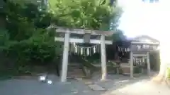 八雲神社(緑町)の鳥居