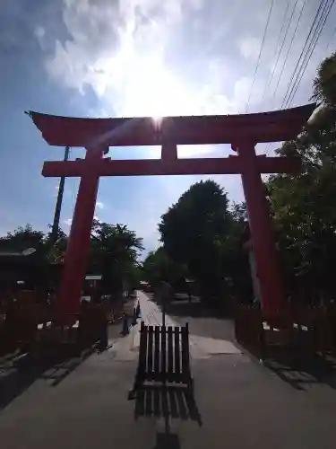 鷲宮神社の鳥居