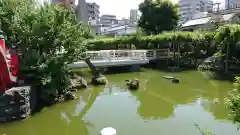 亀戸天神社の庭園