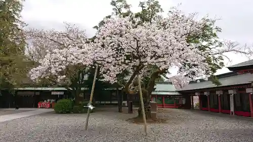 富士山本宮浅間大社の庭園