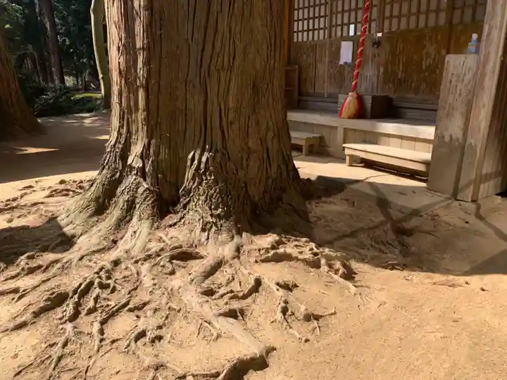 大木戸八幡神社(千葉県)