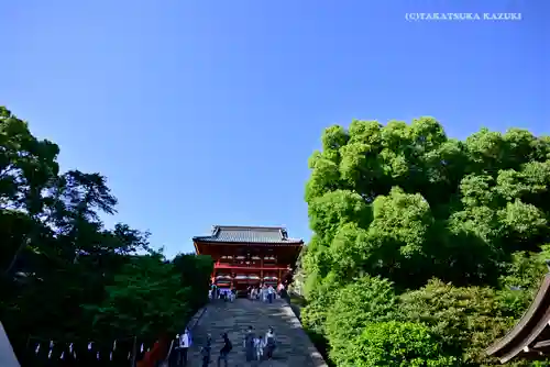 鶴岡八幡宮のその他建物