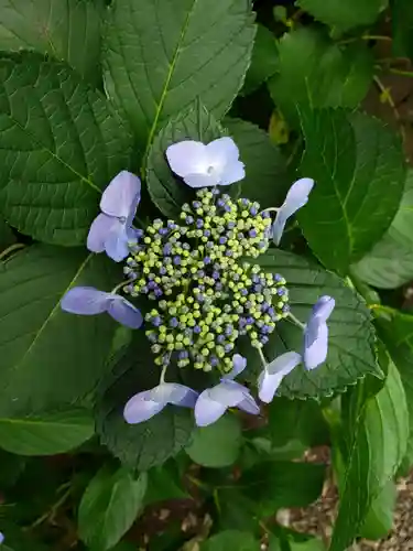 麻布氷川神社(東京都)