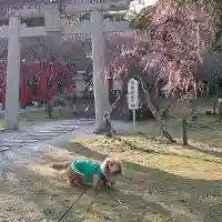 綱敷天満宮(福岡県)