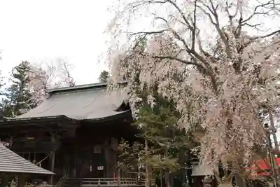 田村神社の本殿・本堂