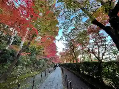 光明寺（粟生光明寺）(京都府)