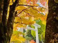 土津神社|こどもと出世の神さまの景色